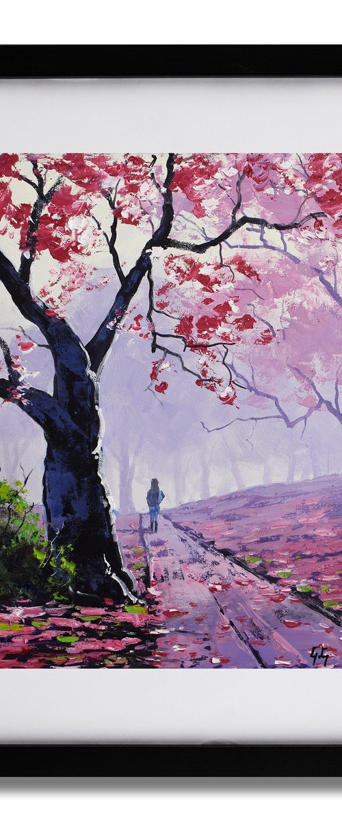 Pink Blossom Path by Graham Gercken