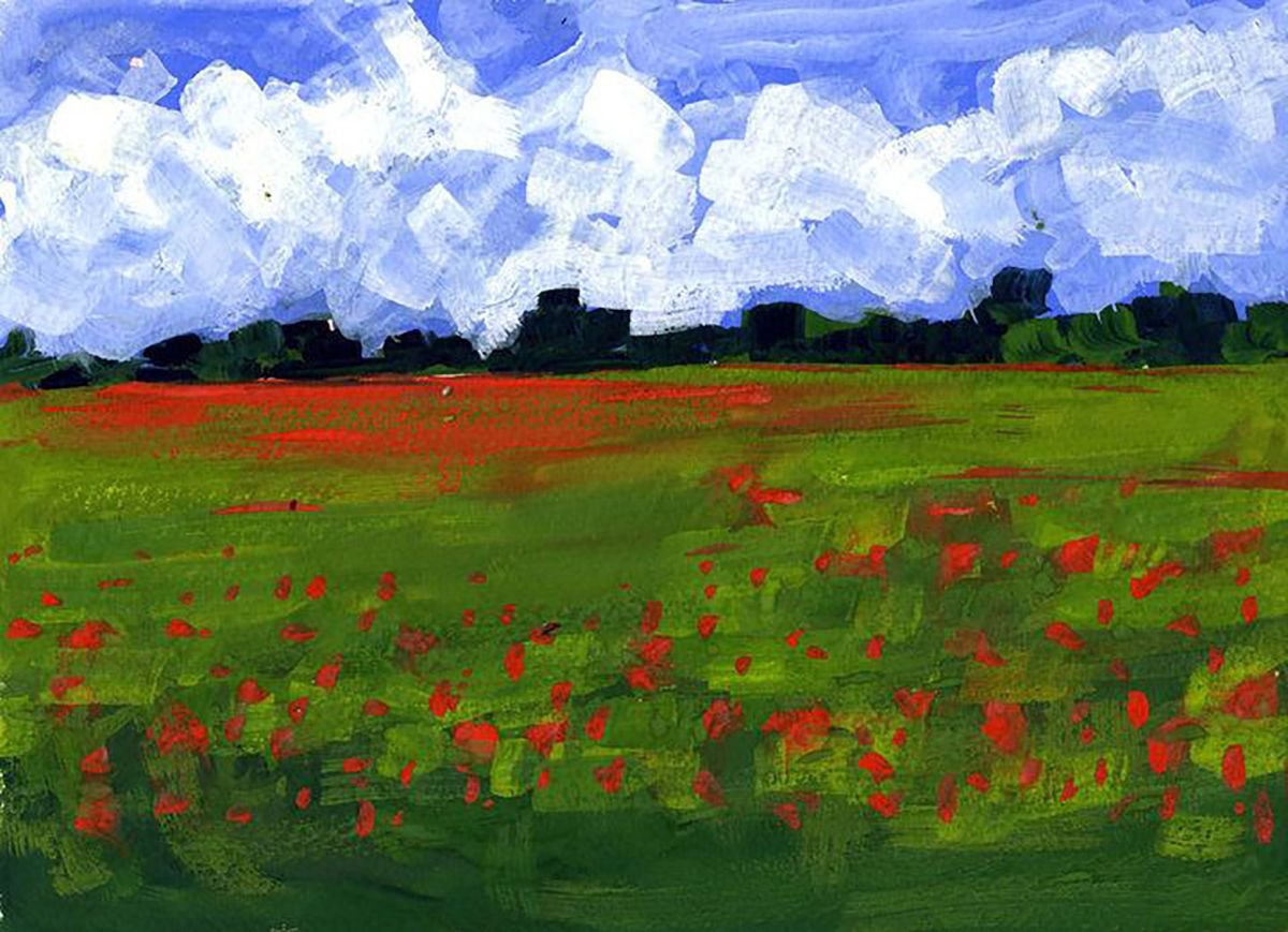 Poppy Fields by Stuart Roper