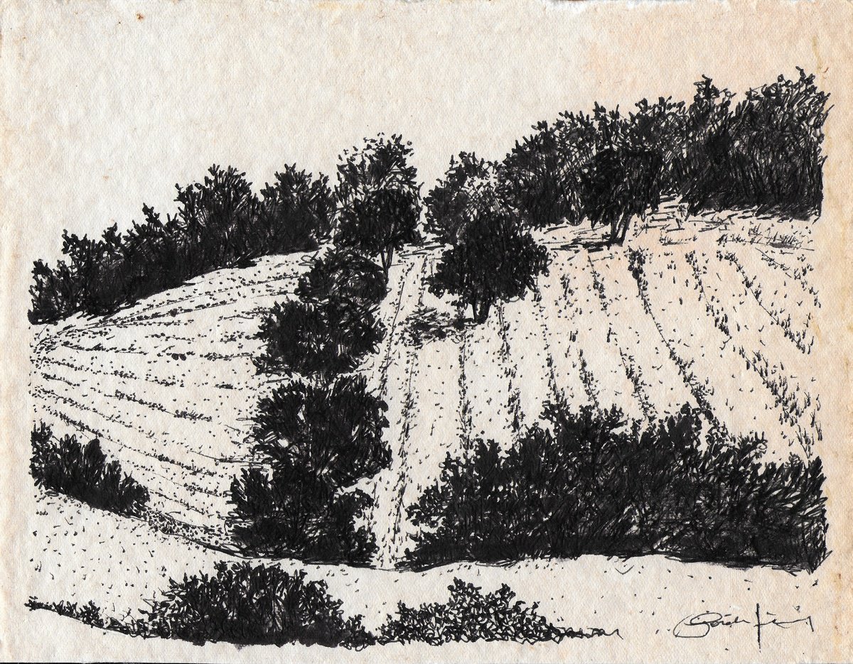 Expressive Watercolour , Aegean / Shaded Field By Gozde Temiz Istanbul, 12 X 9, Artwork For Sale On Artfinder