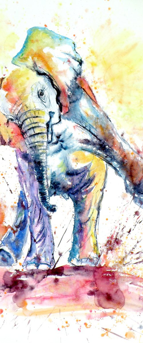 Playing elephant baby VI by Kovács Anna Brigitta