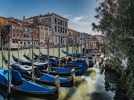 THE VENETIAN CANAL