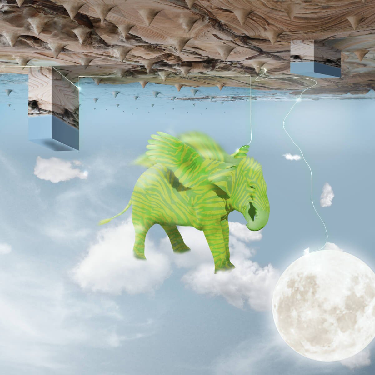 Surrealistic Animal Print By Vanessa T Stefanova, 24 X 24", Elephant 2, Original Artwork