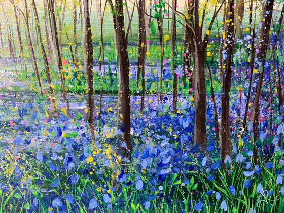Bluebell Wandering