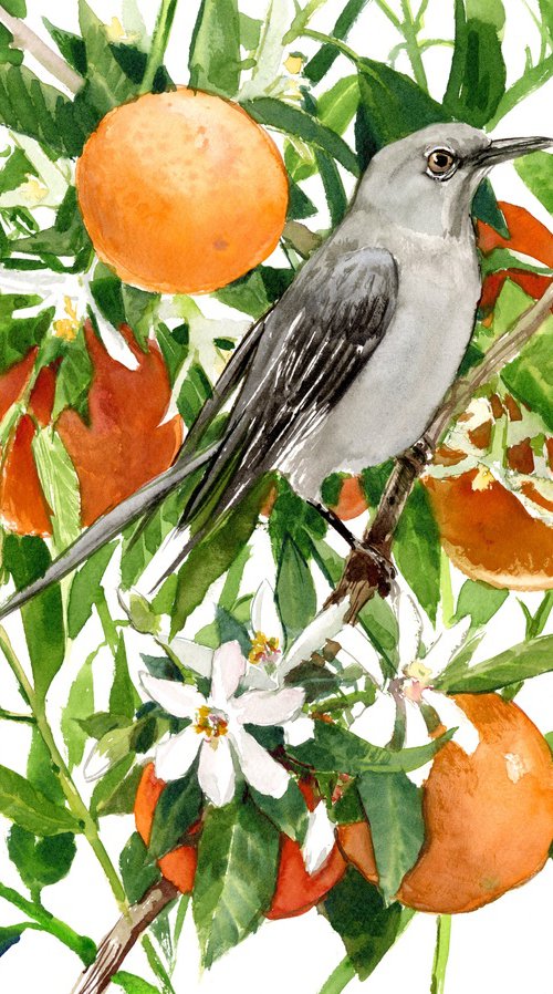 Mockingbird and Orange Tree by Suren Nersisyan