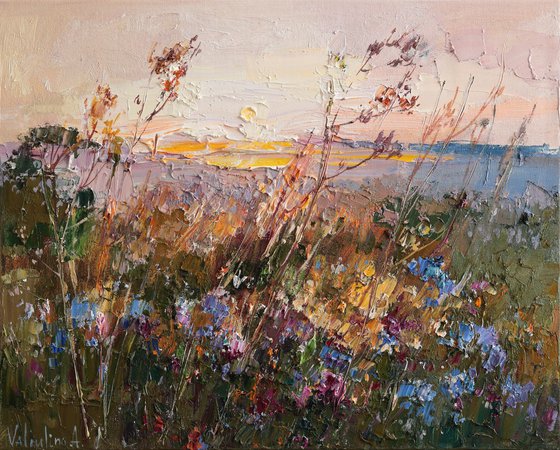 Wildflowers at Sunset