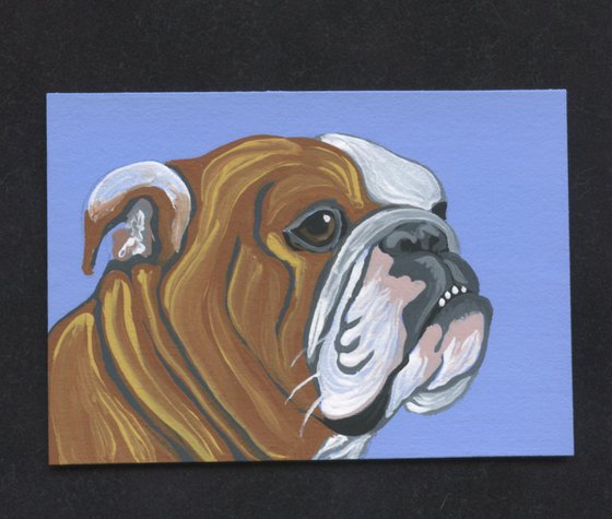 ACEO ATC Original Miniature Painting English Bulldog Pet Dog Art-Carla Smale