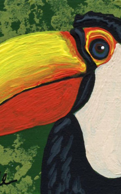 Toucan by Carla Smale