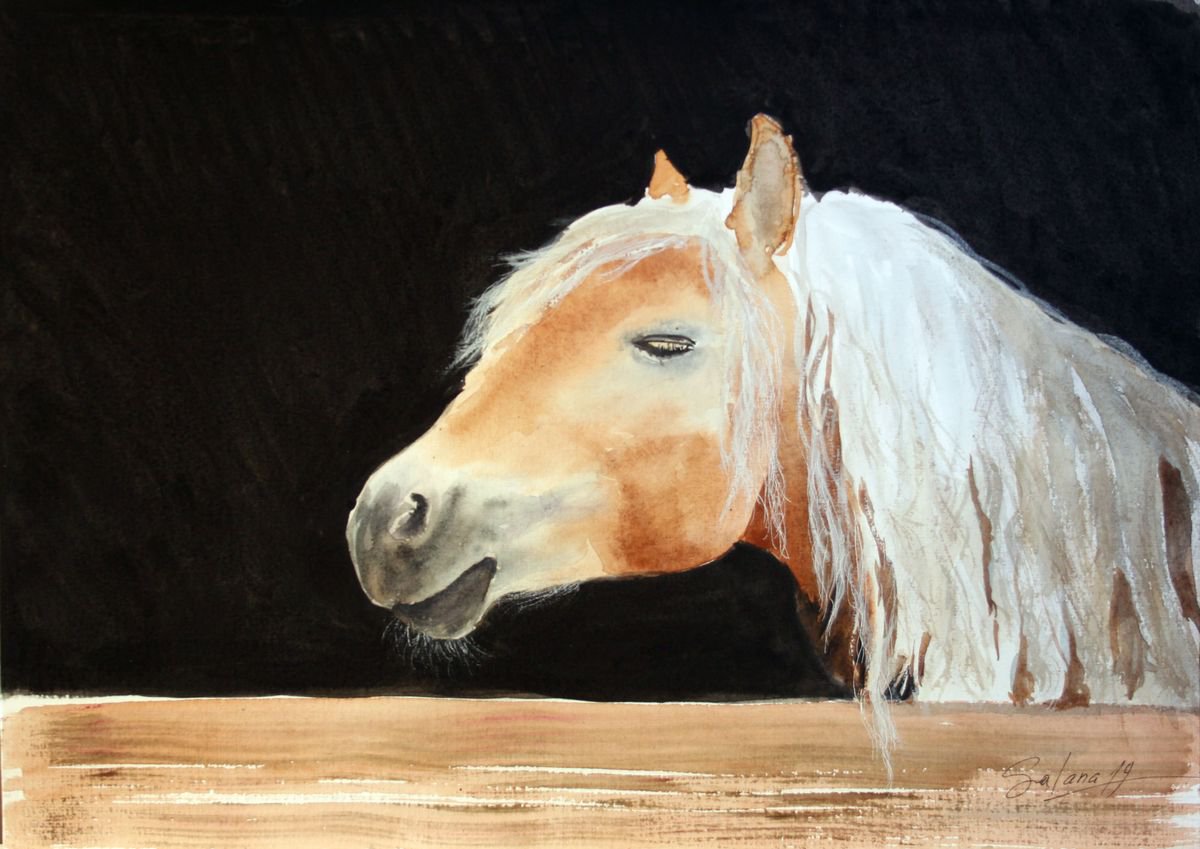 Impressionistic Watercolour , Horse Ix By Salana Art / Svetlana Samovarova, 17 X 12, Artwork For Sale On Artfinder
