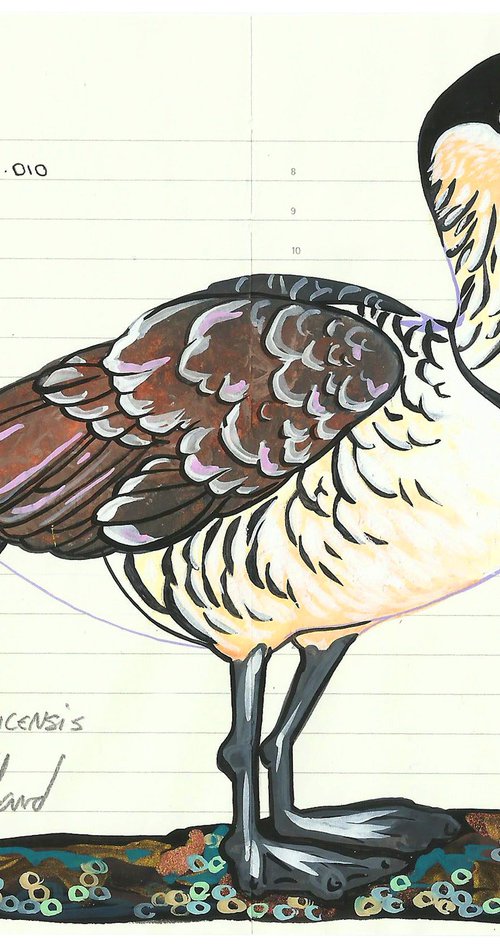 Birds of Oceania: Nene (Hawaiian Goose) by Fran Giffard