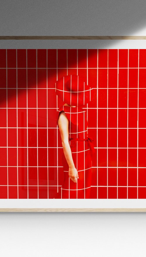 In Disguise - Red by Amelie Satzger