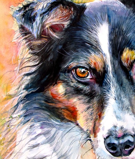 Cute dog II