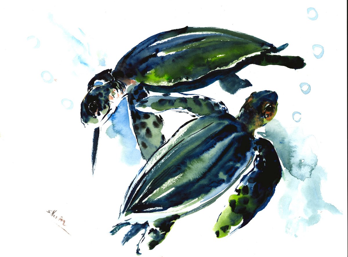 Sea Turtles by Suren Nersisyan