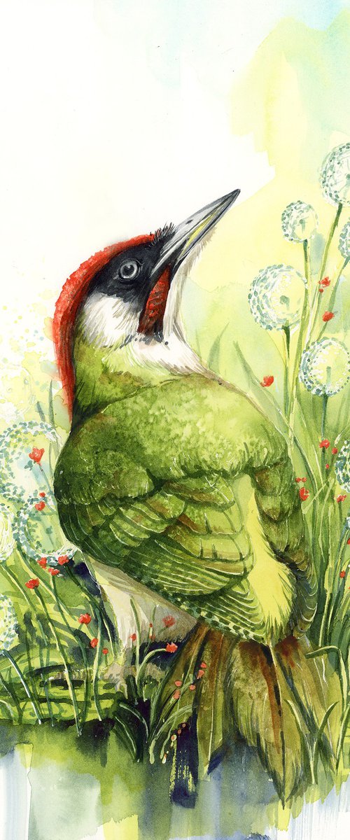 Green Woodpecker by Karolina Kijak