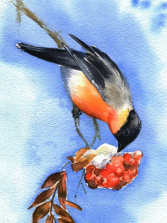 Bullfinch on branch of ashberry tree original watercolor painting blu sky winter bird artwork