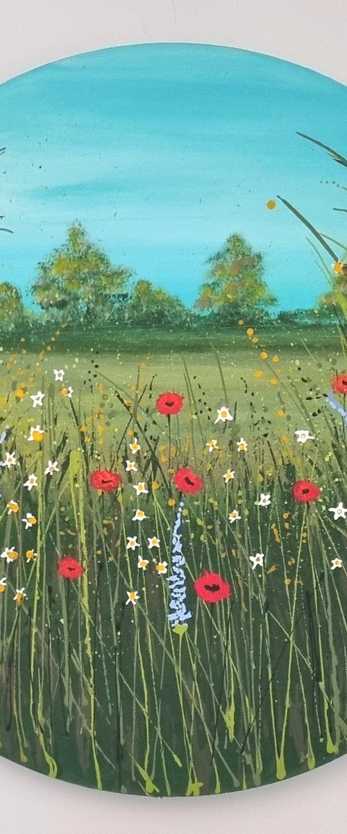 Poppy Field in Kent by Cinzia Mancini