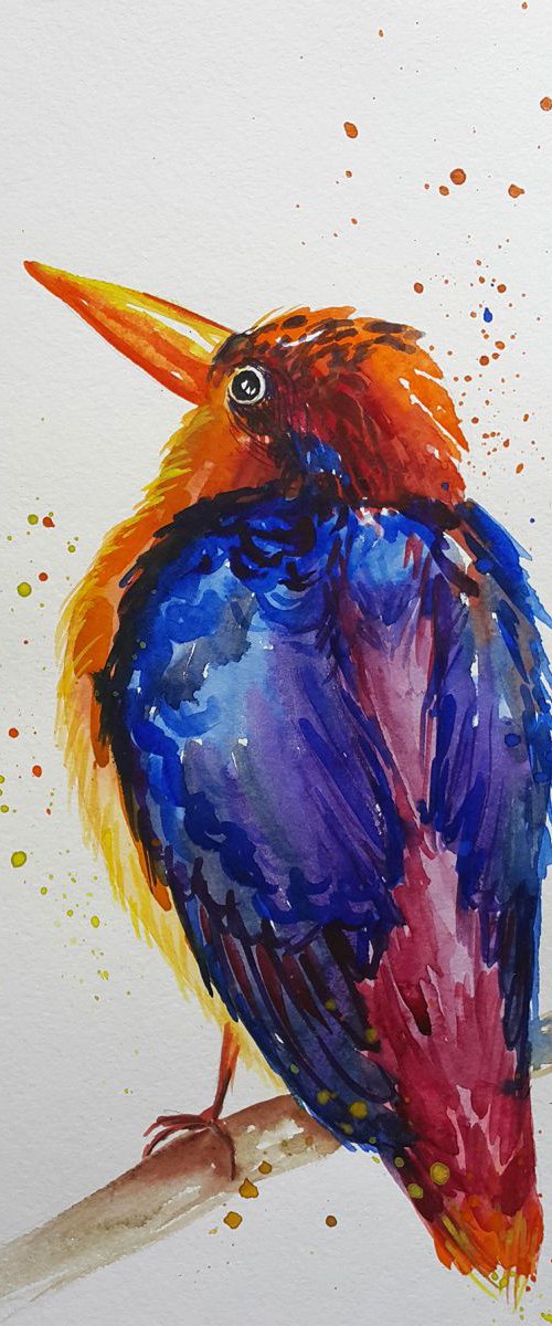 Colored bird by Anastasia Kozorez