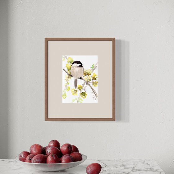 Chickadee