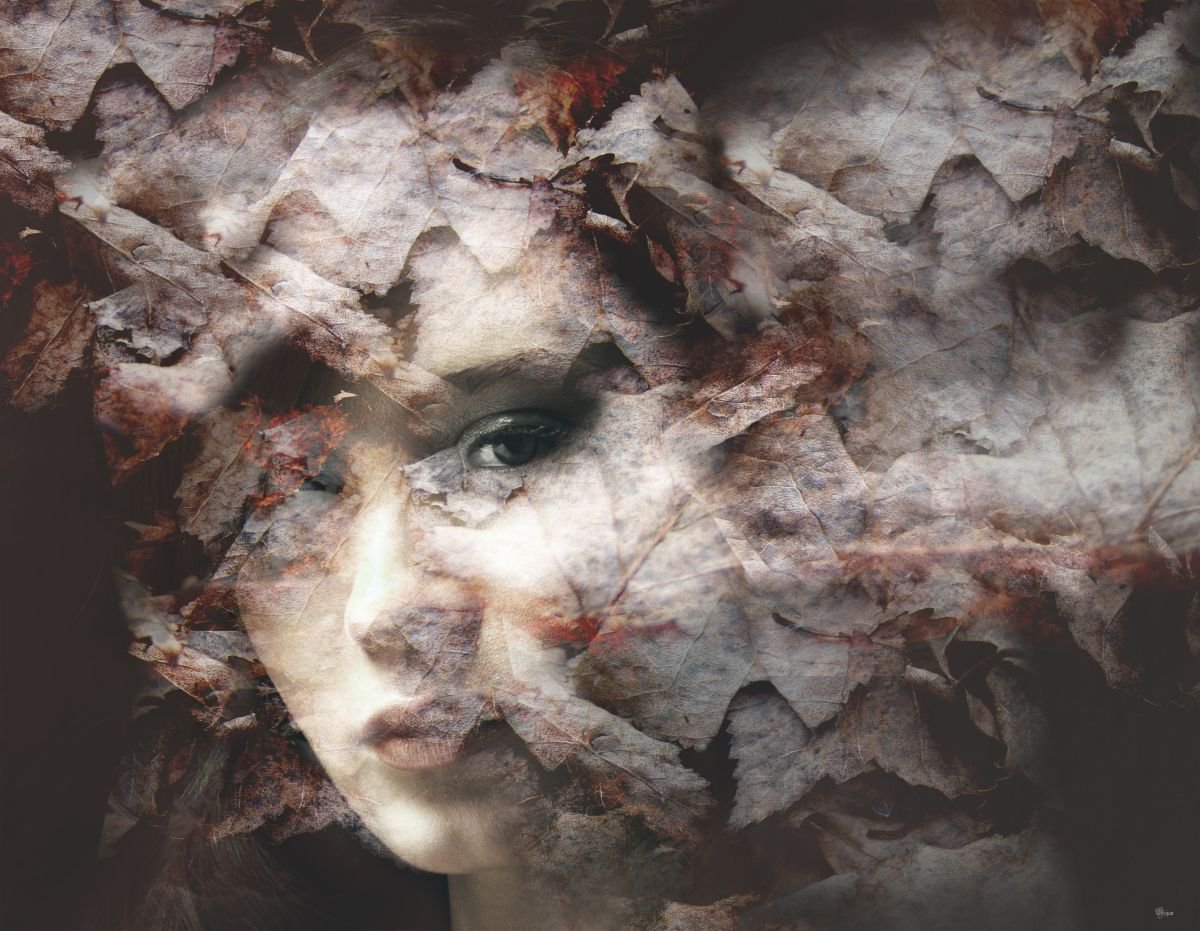 Illustrative Photograph , Naturally By Bojan Jevtic, 43 X 33, Artwork For Sale On Artfinder