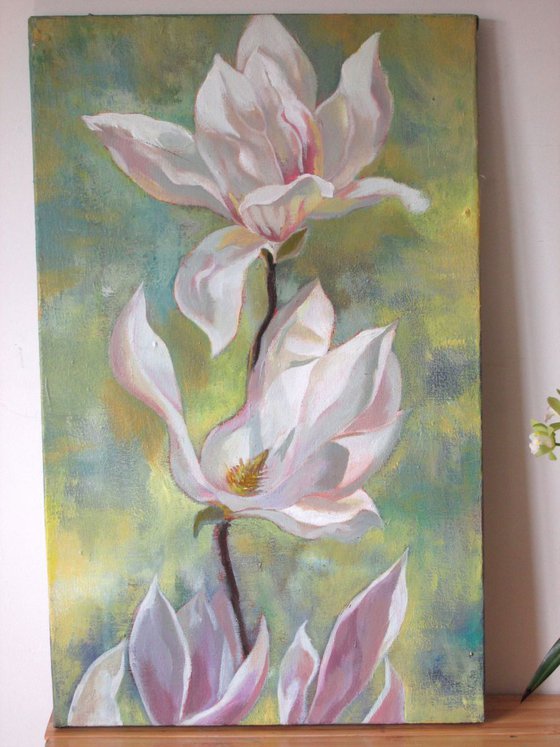 Springtime for magnolia