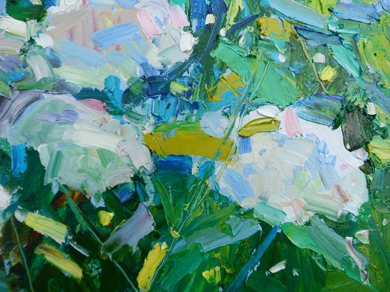 "  Hydrangea "