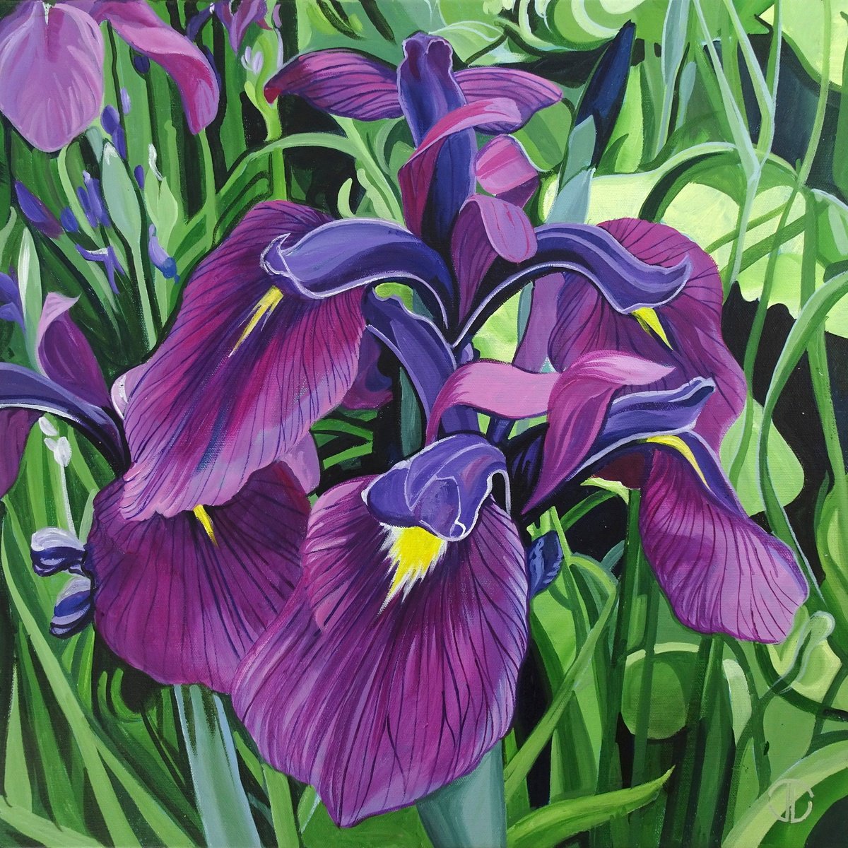 Impressionistic Botanical Acrylic Painting By Joseph Lynch, 20 X 20, Iris, Original Artwork
