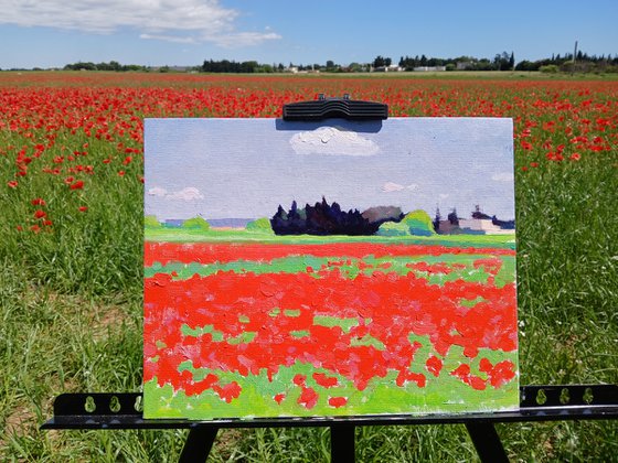 Poppy field