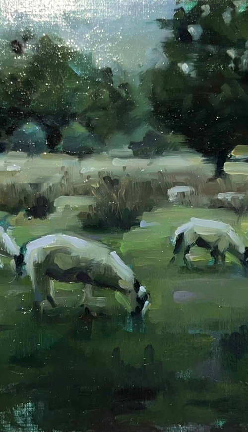 A Flock At Rest by Jade Eynon