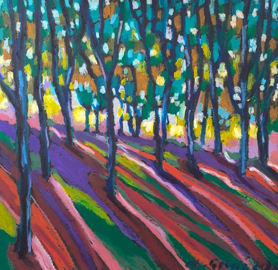 Colourful forest shadows