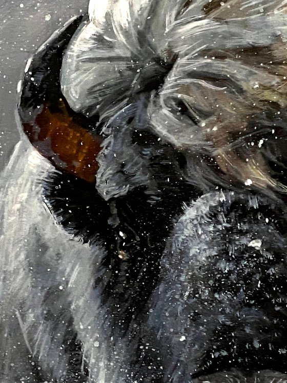 King of the Snow Plains