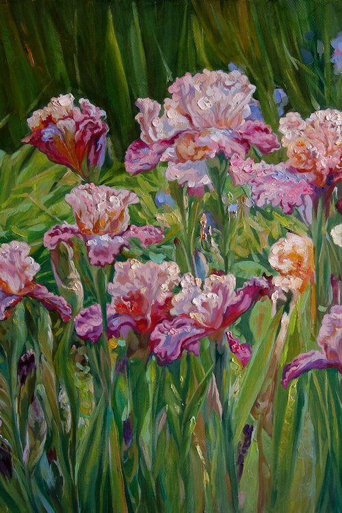 Sunny irises in the garden by Eduard Panov