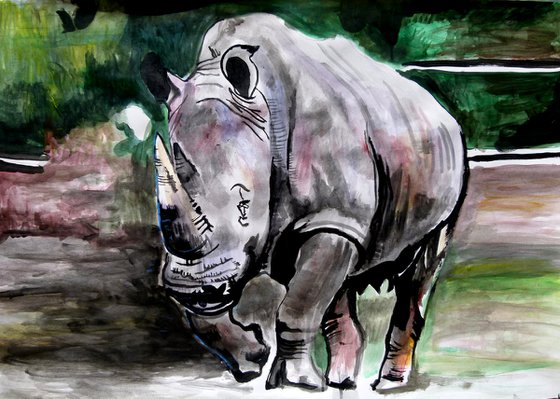 Rhinoceros