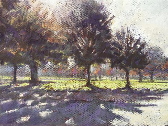 Dulwich Park trees