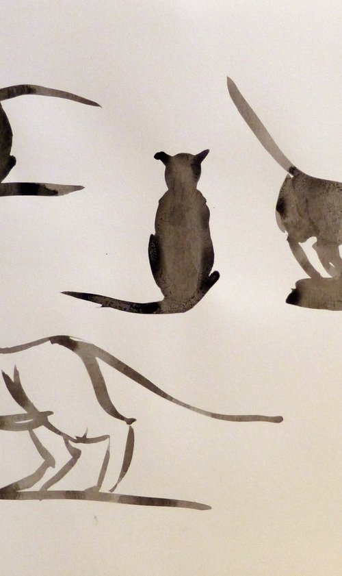 Study of Cats 2, ink drawing 29x42 cm by Frederic Belaubre