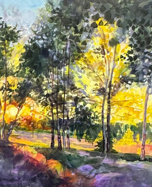 Sunburst Birch Row with Heather by Hannah  Bruce