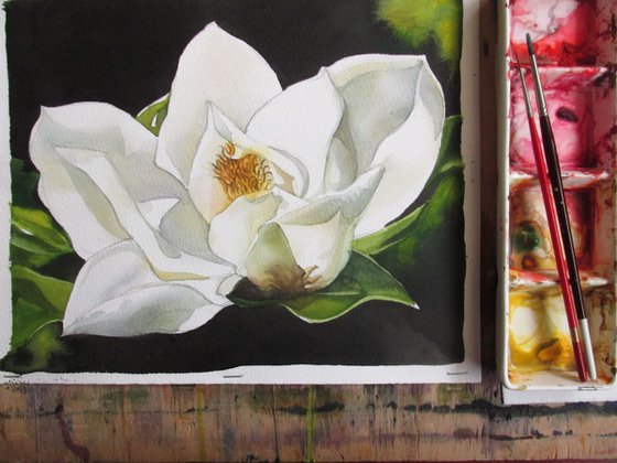 a painting a day #33 'Spring magnolia'