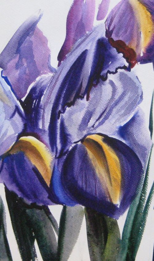 irises1 by Valentina Kachina