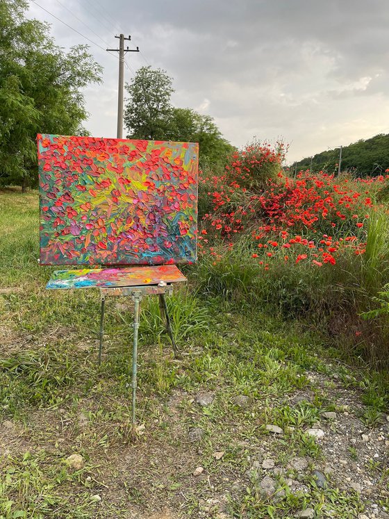 Poppies