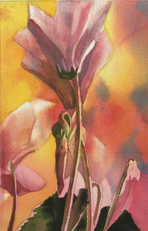 a painting a day #46 "Festive Cyclamen" by Alfred  Ng