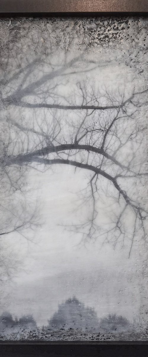 Tree Haze by Roseanne Jones