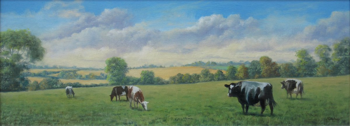 Cows by Alan Stephens