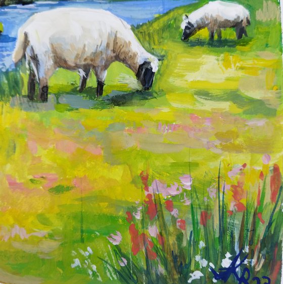 Scottish landscape with sheep