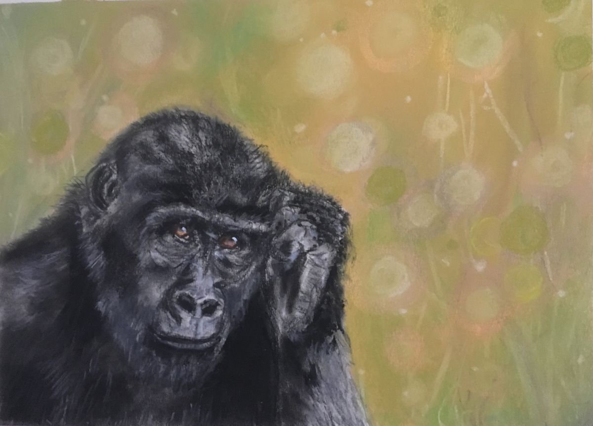 Thoughtful Gorilla by Suzy K