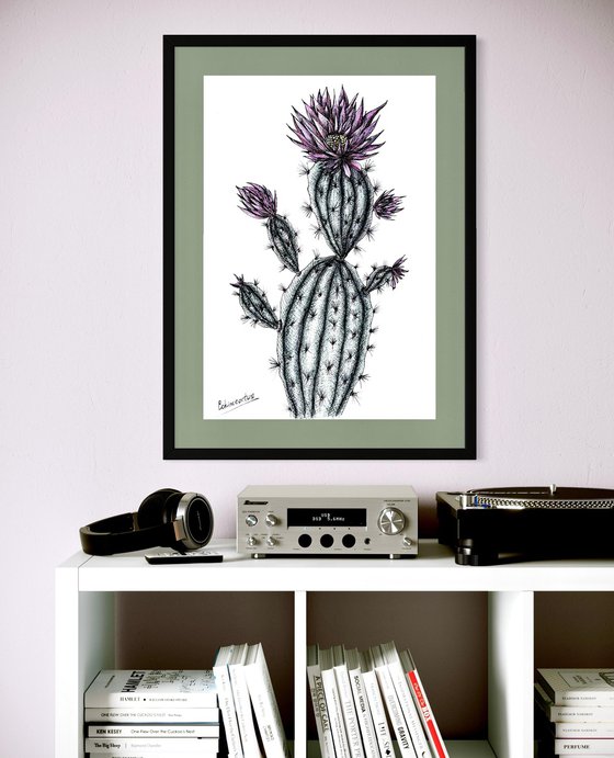 CACTUS WITH PINK FLOWERS