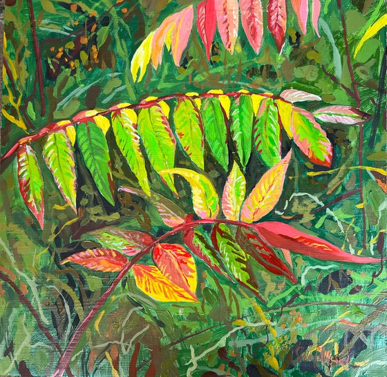 Fall Sumac