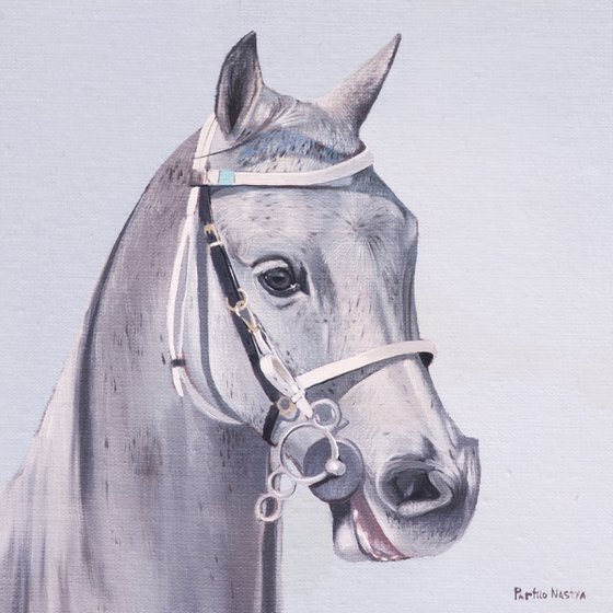 Horse Portrait 70