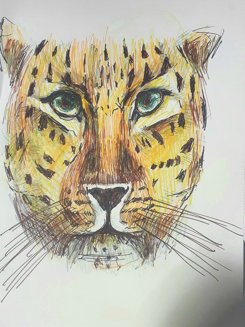 Leopard by Nektaria Giannoulakou