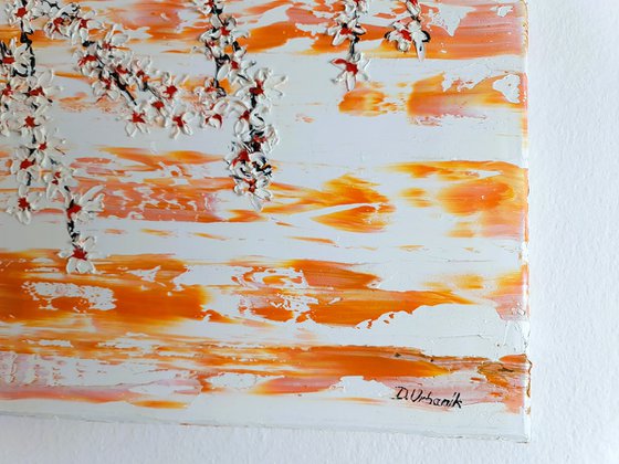 Cherries in the spring 3