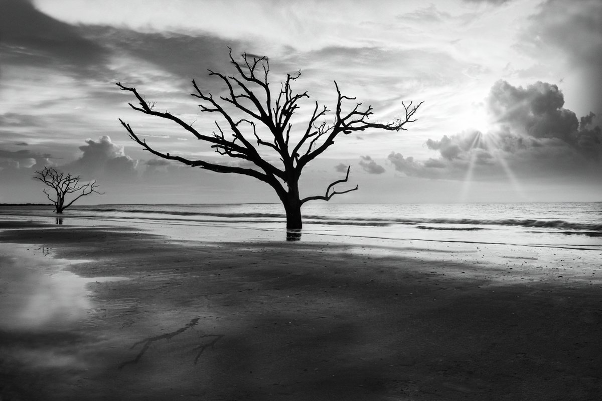LOW COUNTRY JEWEL II...Ready to hang, limited edition photograph made in South Carolina by Harv Greenberg