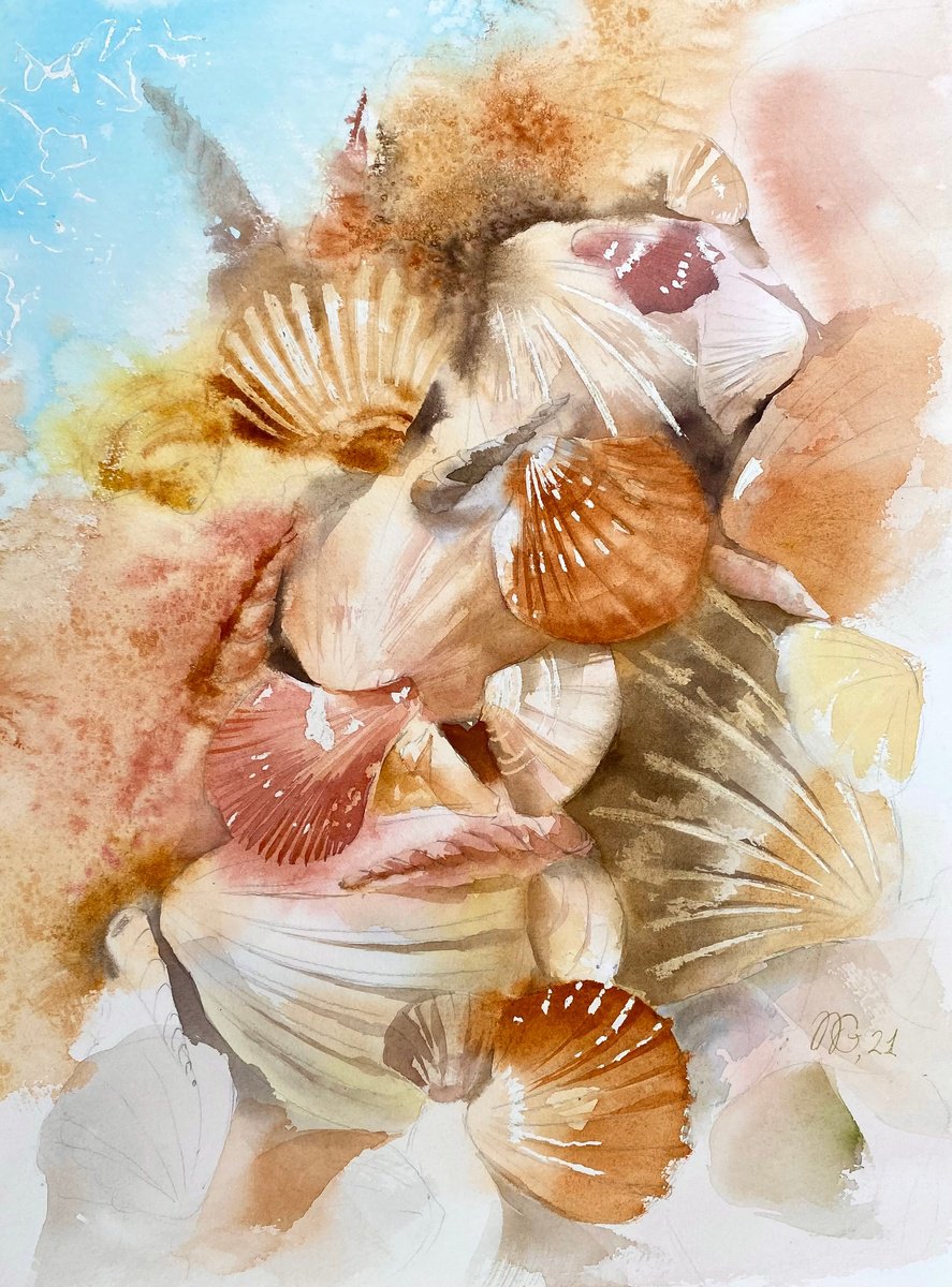 Seashells by Natalia Galnbek