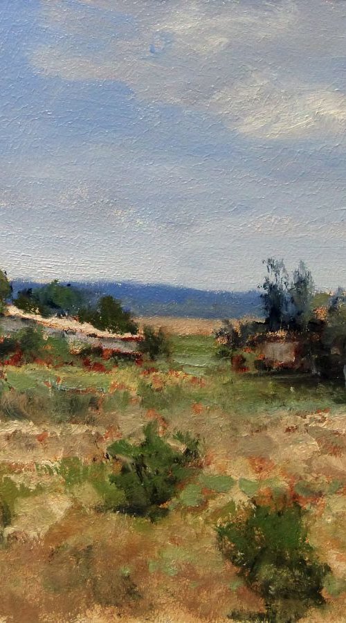 Mas Provençal (Forcalquier) by Pascal Giroud